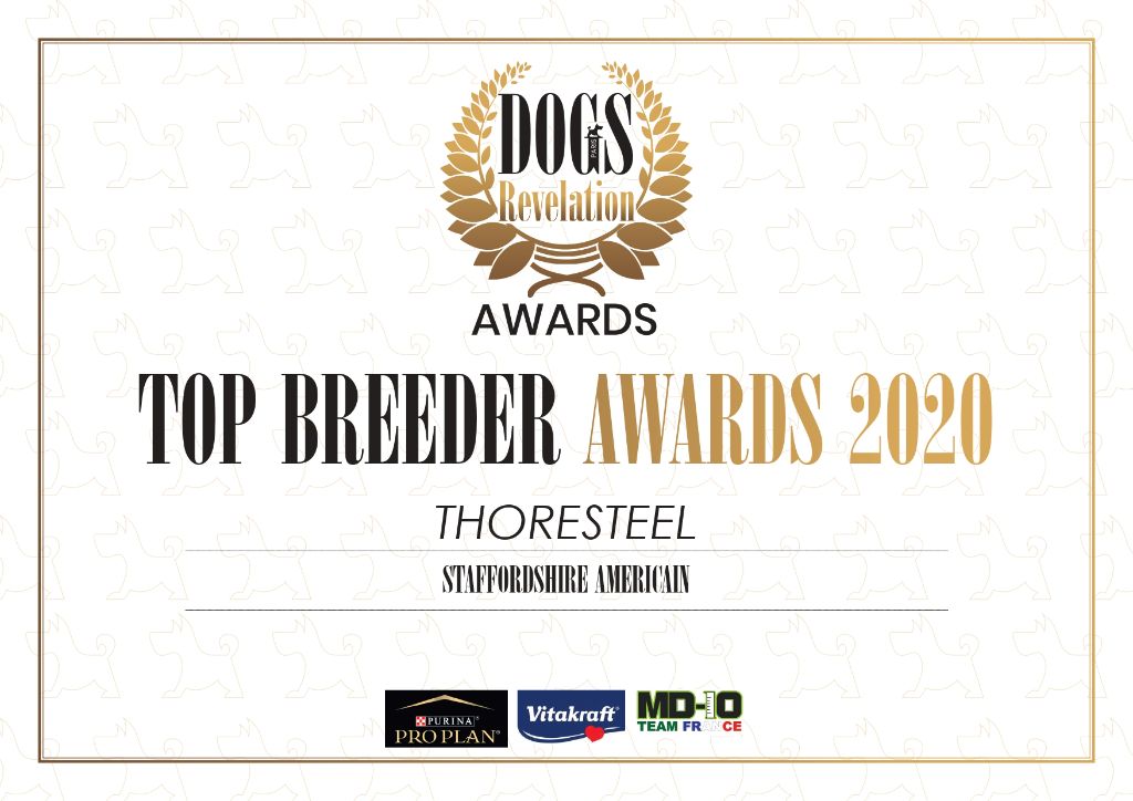 Thoresteel - TOP ELEVEUR 2020