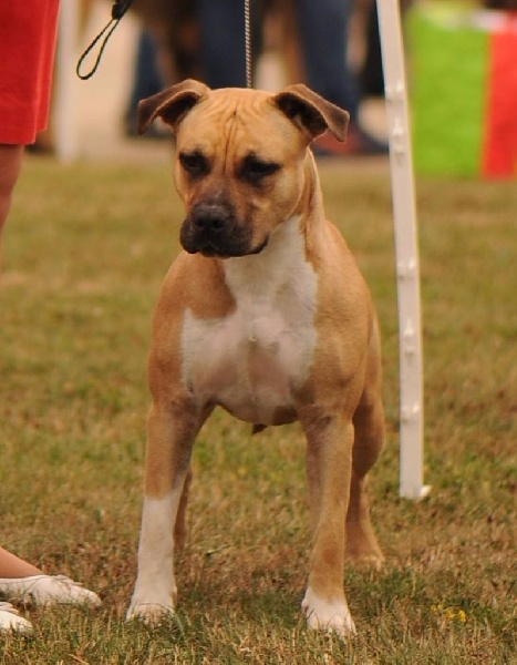 Thoresteel Lolita lempicka